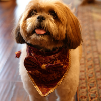 Bandana